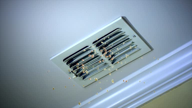 Best HVAC Air Duct Cleaning  in Grifton, NC