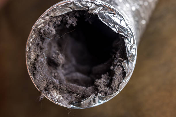 Best Air Duct Cleaning Near Me in Grifton, NC