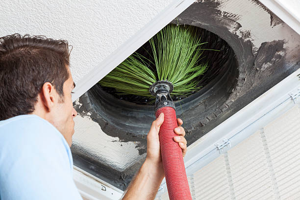Best Best Air Duct Cleaning Near Me  in Grifton, NC
